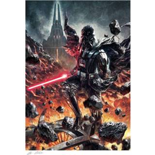 👉 Star Wars Art Print Darth Vader: The Chosen One 46 x 61 cm - unframed