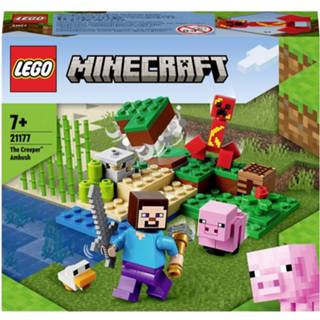 Lego LEGO® MINECRAFT 21177 De inhoud van Creeper 5702017156538