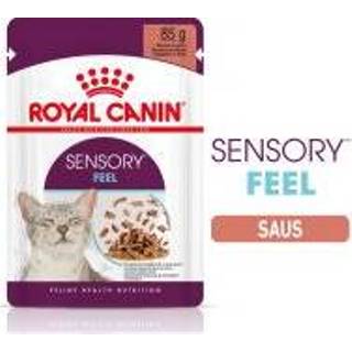 👉 Kattenvoer Royal Canin Sensory Smell in Saus - 12 x 85 g 9003579018507