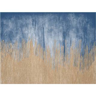 👉 Placemat blauw geel multi vinyl Luxe stijlvolle placemats van 40 x 30 cm blauw/geel