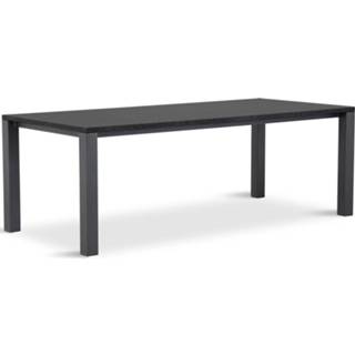 👉 Terras tafel aluminium cruquius Dining Tafels transparant zwart Van Dijk Munster tuintafel 220 x 100 cm met Pearl Black blad 7435147558559