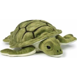 👉 Groen pluche kinderen Kinder zee schildpad 23 cm