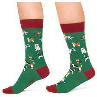 👉 Groen m unisex Calcetines Dogs Jimmy Lion , 8436558646223