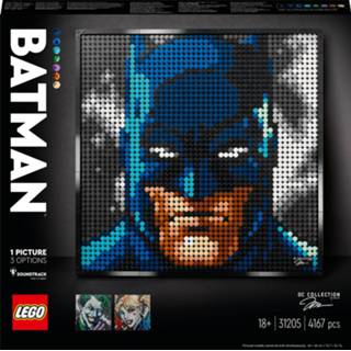 👉 LEGO Zebra Jim Lee Baan Collectie Poster Set 31205