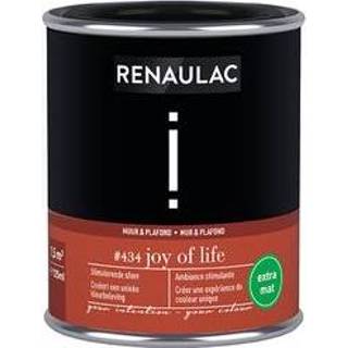 👉 Plafondverf joy Renaulac muur- en Intention of Life extra mat 125ml 4004014900758