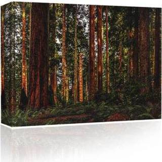 👉 Bluetooth speaker canvas Sigel oplaadbare Sound Art Trees in the forest 41x51cm 5060652120087