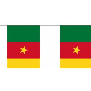 👉 Vlaggenlijn stof active Kameroen - 3 meter I 7424950445408
