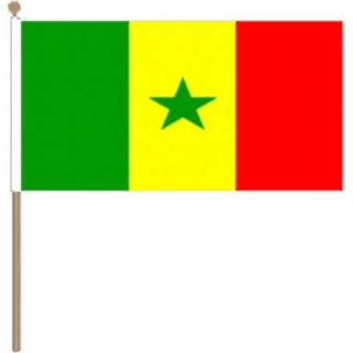 👉 Zwaaivlag stof active Senegal 15x22,5cm | 7435127541533