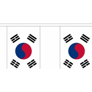 👉 Vlaggenlijn stof active Zuid Korea - 3 meter I 7435127542592