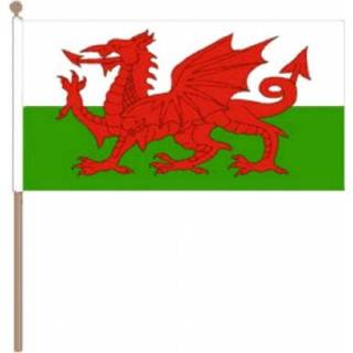 Zwaaivlag stof active Wales 15x22,5cm | 7435127541519