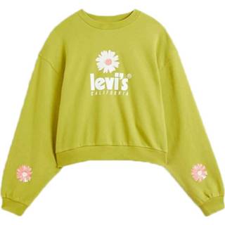 👉 Poster groen l vrouwen Pl vintage raglan crew Levi's , Dames