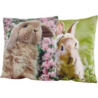 👉 Kussenhoes multicolor polyester animalmotief unisex Set van 2 kussenhoezen Insi Webschatz 4055708155886