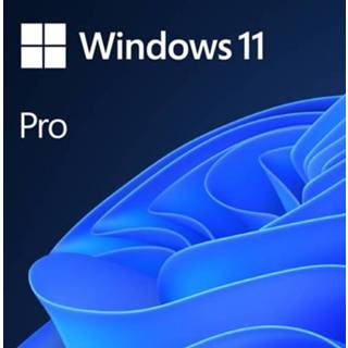 👉 Microsoft Windows 11 Pro 1 apparaat NL (PC) (Digitale Download) 889842965445