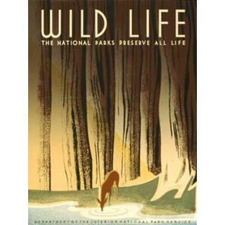 👉 Poster rolkoker - Wild Life, 1936 originele poster, 50x70cm, Premium Print, Verpakt in stevige kartonnen 8720195904465