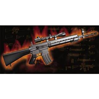 👉 Trumpeter 1/3 AR15/M16/M4 FAMILY-MK.12 Mod o/1 SPR