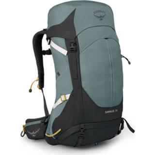 👉 Backpack One Size vrouwen Succulent Green Osprey Sirrus 36 - Outdoor rugzakken