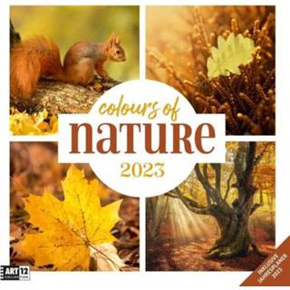 👉 Kalender engels Colours of Nature 2023 - 30x30 9783838443010