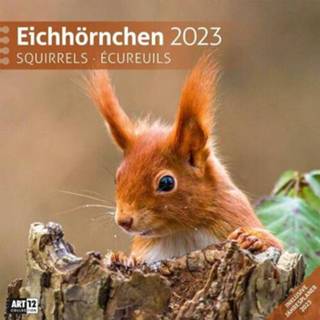 👉 Kalender engels Eichhörnchen 2023 - 30x30 9783838443317