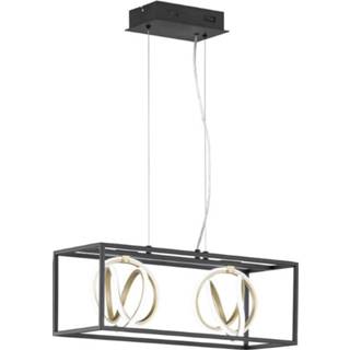 👉 Design hanglamp zwart goud active Fischer&Honsel Gisi 58,5cm met 60607 4003694606073