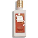 👉 Active L'Occitane Neroli&Orchidee Body Milk 245 ml 3253581462249