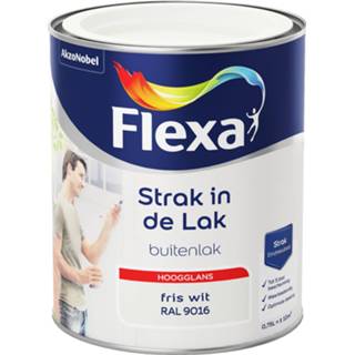 👉 Flexa Strak in de Lak Binnenlak Zijdeglans - RAL 9001