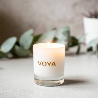 👉 VOYA Luxury Scented Candle Cedarwood and Bergamot 20ml 5391514224095