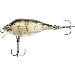 👉 Groen Fox Rage Funk Bug 40mm SR - UV Striped Shiner Plug 5056212152773