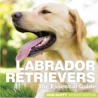 Labrador retriever engels Retrievers 9781910843413