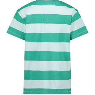 👉 Shirt biologisch katoen mannen groen T-shirt 8719650220806