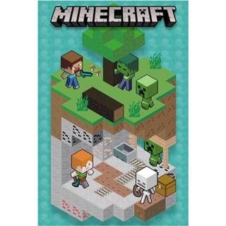 Poster unisex Hoofdmateriaa Papier meerkleurig Minecraft - Into the mine 5028486487967