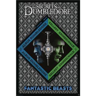 👉 Poster Hoofdmateriaa Papier meerkleurig unisex Fantastic Beasts - Phantastische Tierwesen 3 Dumbledore vs Grindelwald 3665361078623