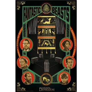 👉 Poster unisex meerkleurig Hoofdmateriaa Papier Fantastic Beasts - Phantastische Tierwesen 3 Filmplakat 3665361078609