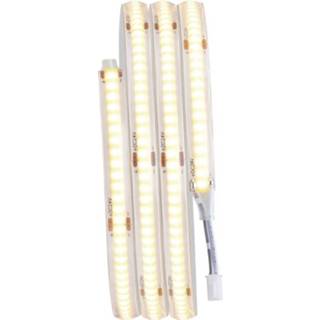 👉 Ledstrip wit Paulmann LumiTiles COB Slim Stripe Set 1m 78424 LED-strip basisset LED Warmwit 4000870784242