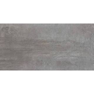 👉 Vloertegel grijs Wand- en Grunge 30x60cm 8698541011283