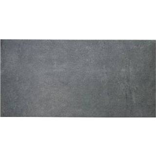 👉 Vloertegel grijs Beton Fango 30,5x61cm 8033247848502