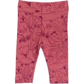 Legging rood katoen mix meisjes baby's Dimo Tex Baby 4048649296756