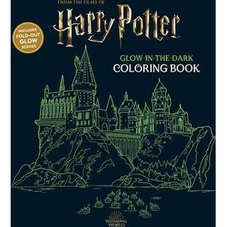 👉 Engels Harry Potter Glow in the Dark Coloring Book 9781645179009