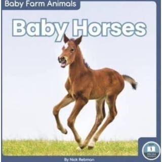 👉 Engels baby's Baby Horses 9781646195039