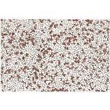 👉 Grindtegel wit rood Wit-Rood Decor 60x40x4,8cm 8711434310307