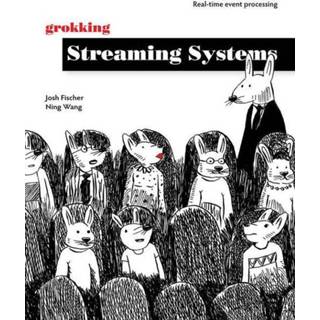 👉 Engels Grokking Streaming Systems: Real-time event processing 9781617297304
