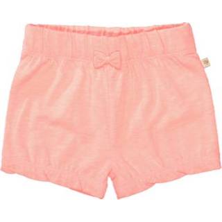 👉 Staccato Shorts neon flamingo