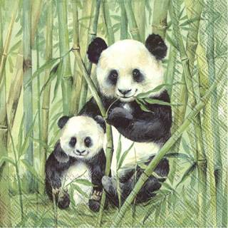 👉 Servet groene groen papier 60x 3-laags servetten pandaberen 33 x cm