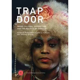 👉 Trap engels Door: Trans Cultural Production and the Politics of Visibility 9780262544894