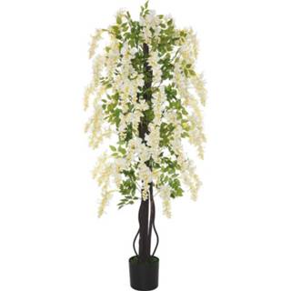 👉 Kunstplant witte blauweregen active Sunny met 24 cm x 165 6011627934979