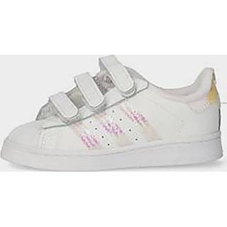 👉 Wit cloud white Adidas Originals Superstar - / 4062056527999