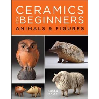 👉 Engels Ceramics for Beginners 9781454710608