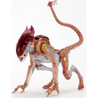 👉 Aliens - Kenner Tribute Panther Alien 7 Inch Action Figure (Neca) 634482517154