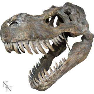 👉 Dinosaurus polyresin Nemesis Now Tyrannosaurus Rex Schedel Wanddecoratie - 51.5 cm