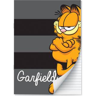 👉 Schrift active Garfield Schriften lijntjes - A4 Set van 2 stuks 9789464321715