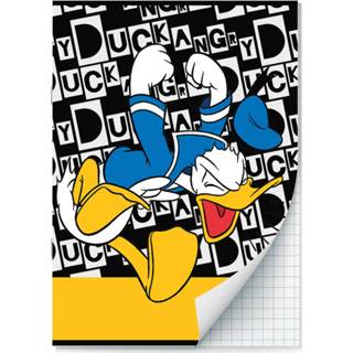 👉 Schrift active Donald Duck Schriften ruitjes - A4 Set van 2 stuks 9789464321883